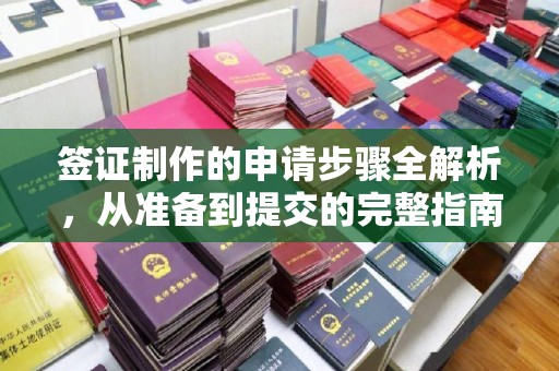 长安签证制作的申请步骤全解析，从准备到提交的完整指南