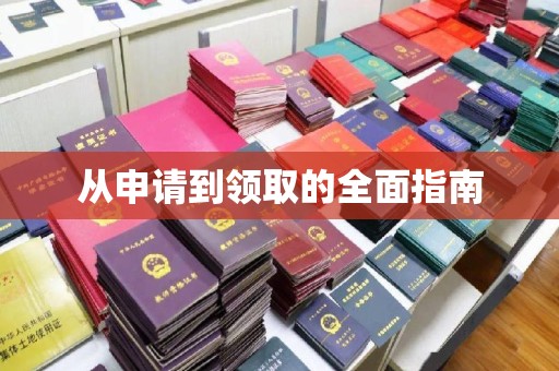 长安从申请到领取的全面指南