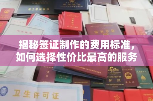 长安揭秘签证制作的费用标准，如何选择性价比最高的服务？