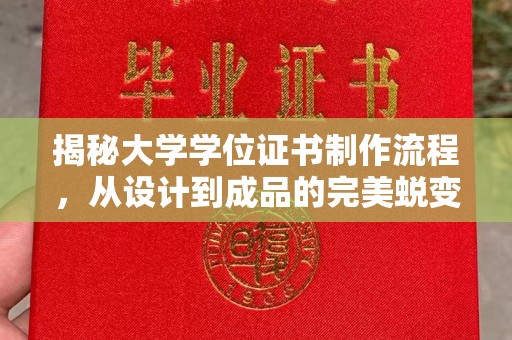 长安揭秘大学学位证书制作流程，从设计到成品的完美蜕变