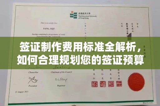 长安签证制作费用标准全解析，如何合理规划您的签证预算？